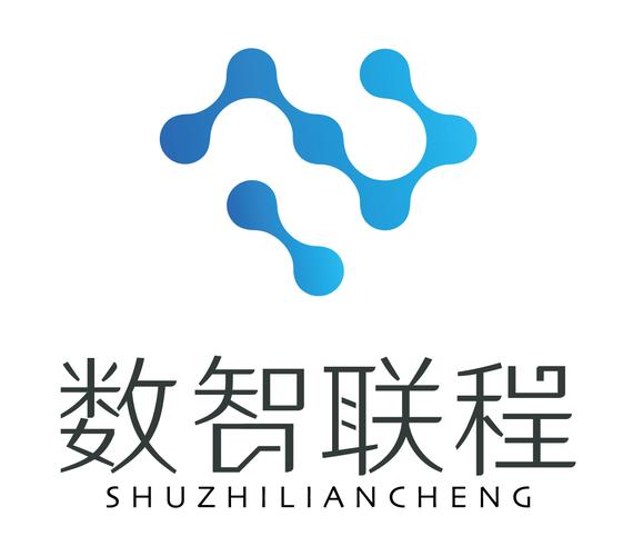 數(shù)智引領(lǐng)，聯(lián)程賦能——數(shù)智聯(lián)程（重慶）科技網(wǎng)絡(luò)技術(shù)服務(wù)深度解析